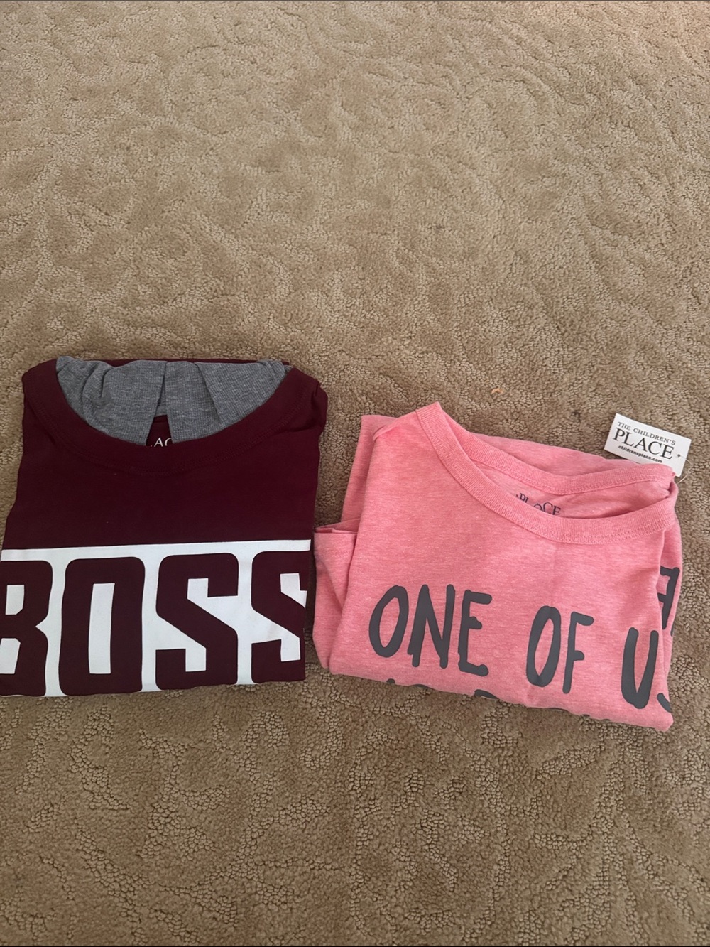 The Children's Place Boys Tee and Hooded Long sleeve shirt Tee  Bundle
Size XXL